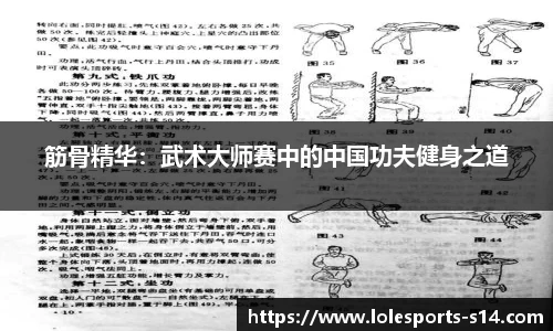 筋骨精华：武术大师赛中的中国功夫健身之道